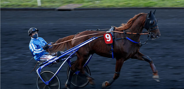 Meeting d'hiver Vincennes 2023 2024